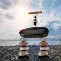 快‍速​网‌站﻿收‍录‌插‍件​是​什‍么‌